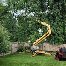 Best Emergency Tree Removal  in Norwich, NY