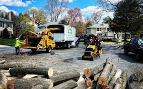 Lawn Drainage Solutions in Norwich, NY