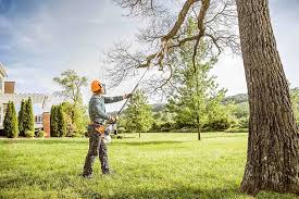 Best Landscape Design and Installation  in Norwich, NY