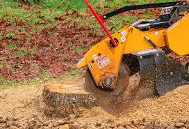 Best Tree Mulching  in Norwich, NY