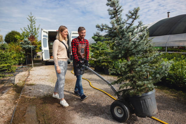 Best Leaf Removal  in Norwich, NY